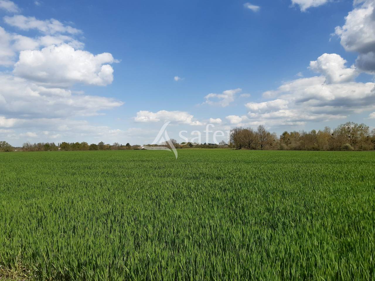 Landbouw bedrijf Koop Deux-Sèvres