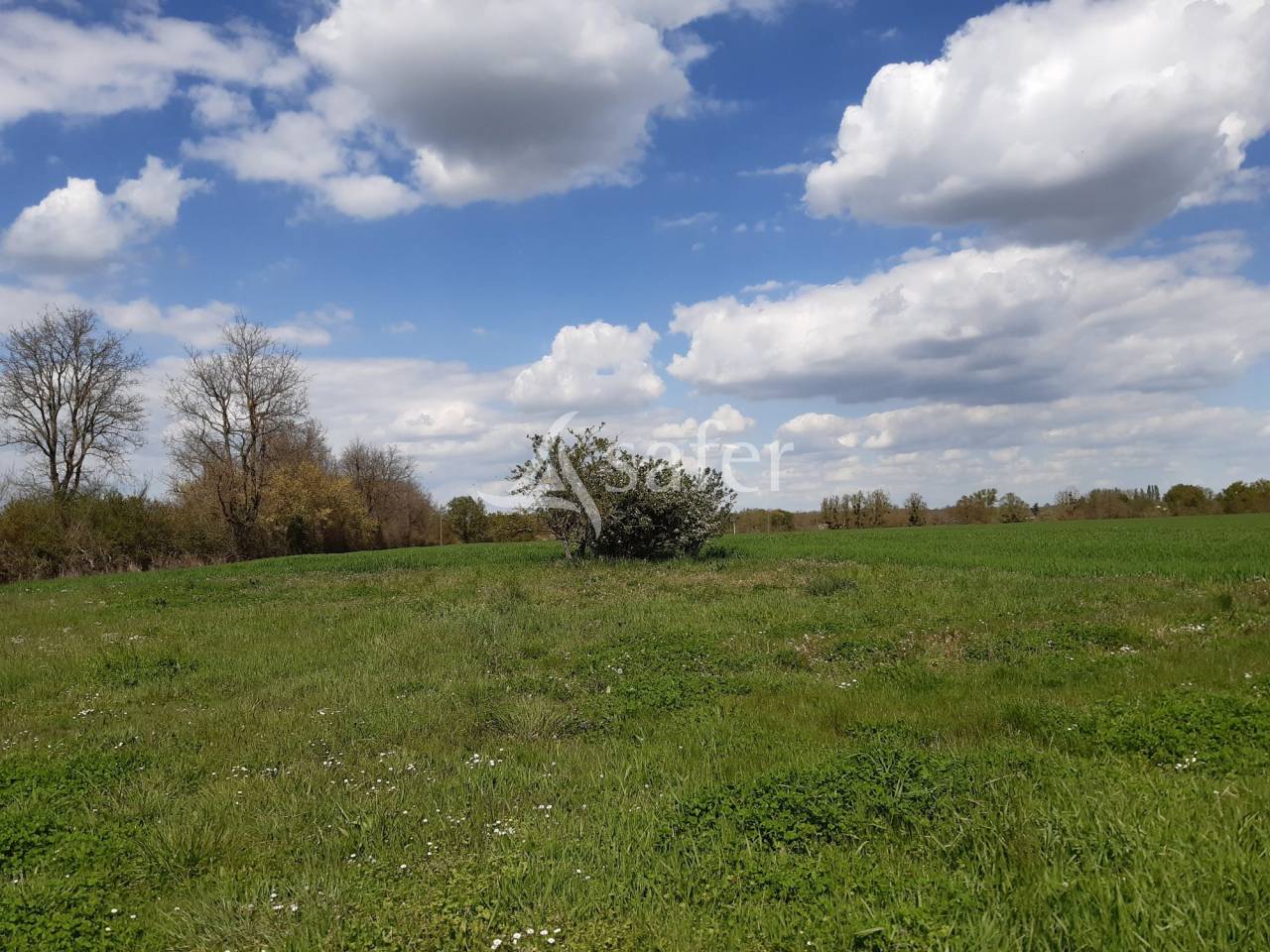 Landbouw bedrijf Koop Deux-Sèvres
