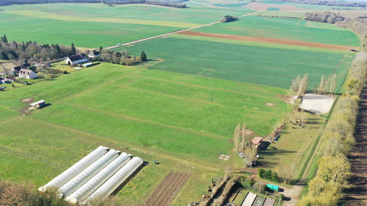 Eigenaren stal Koop Yonne