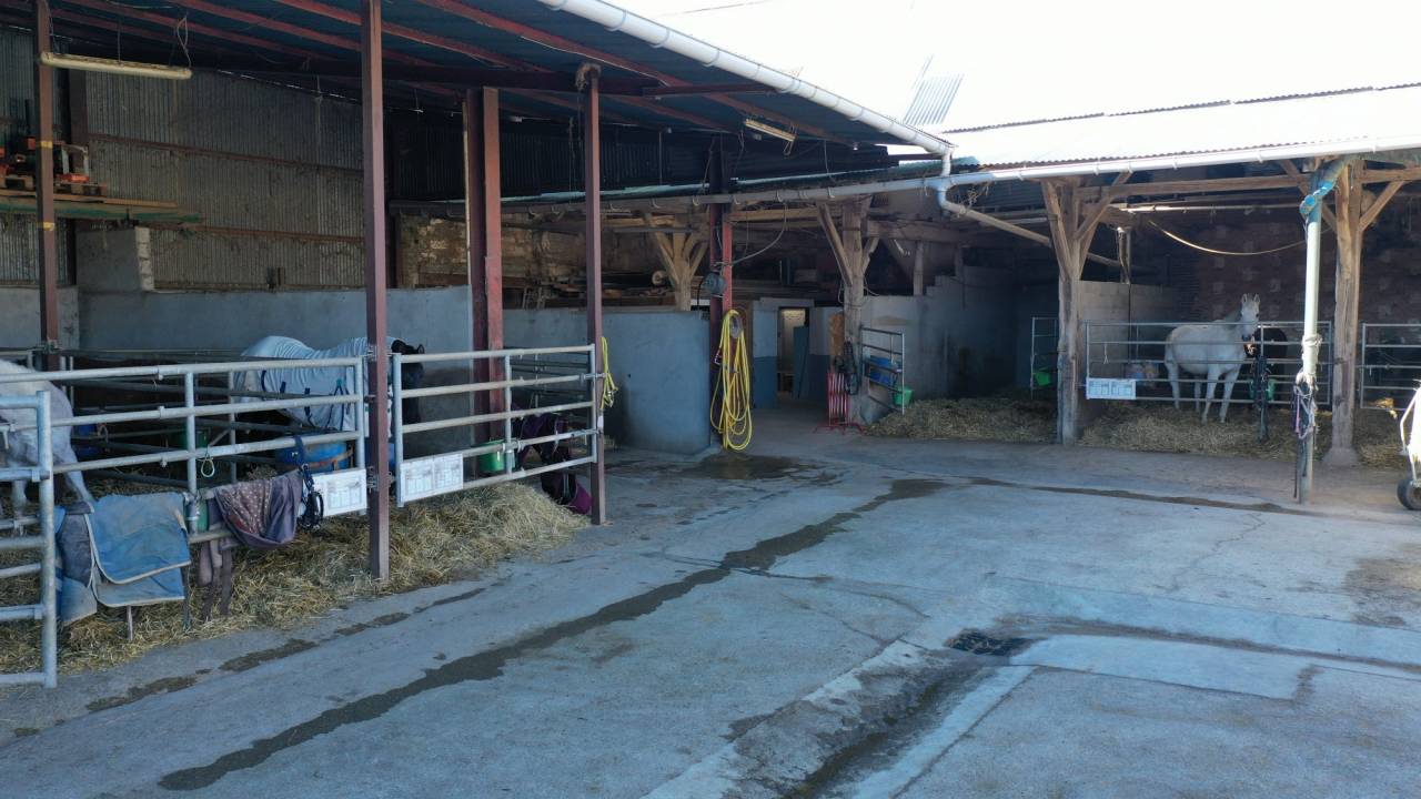 Eigenaren stal Koop Yonne