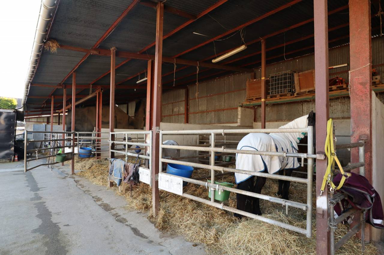 Eigenaren stal Koop Yonne