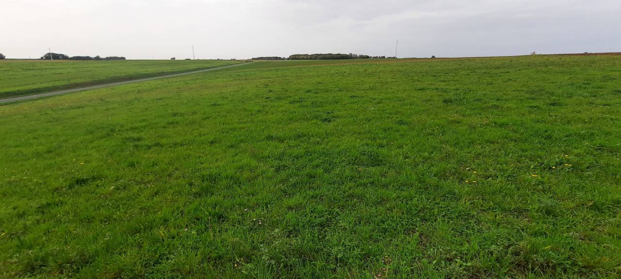 Hippisch vastgoed Koop Vendée