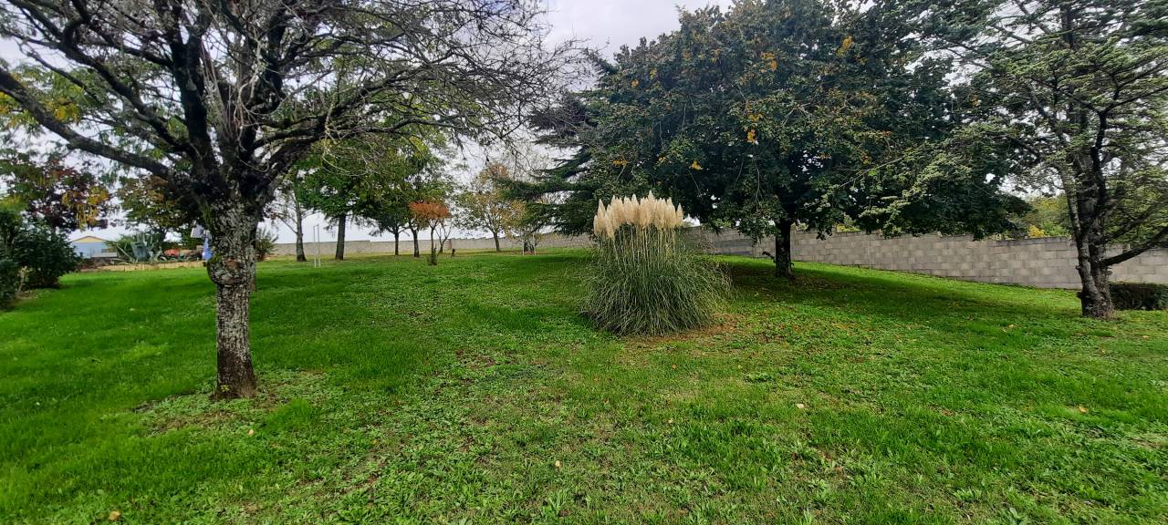Hippisch vastgoed Koop Vendée