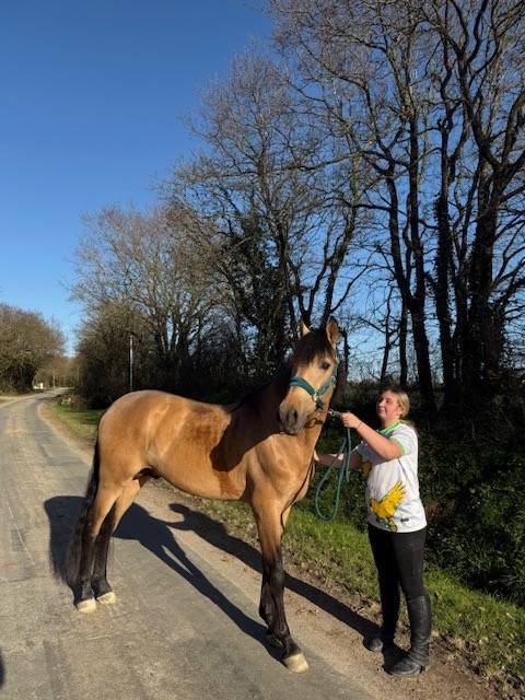 saymon  - PRE Puur Ras Spaans 2021