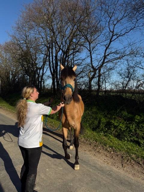 saymon  - PRE Puur Ras Spaans 2021