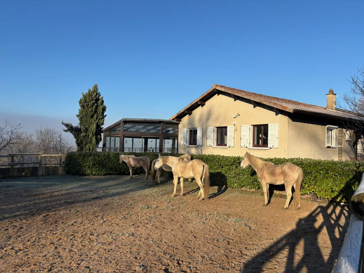 Mooi hippisch vastgoed Koop Rhône