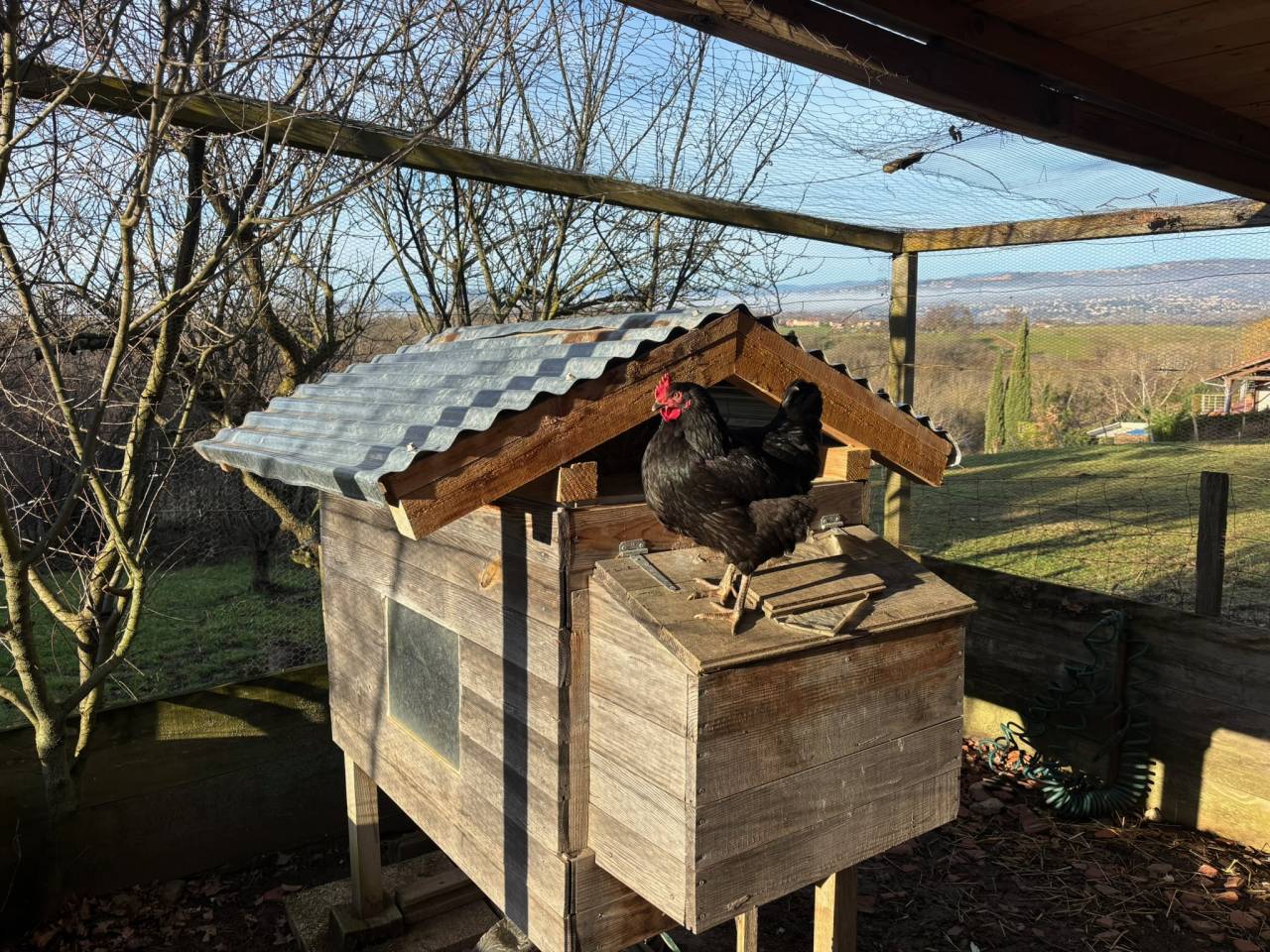 Mooi hippisch vastgoed Koop Rhône