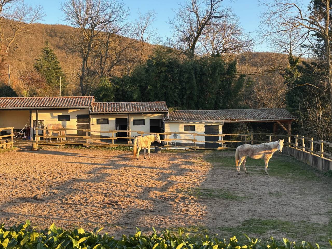 Mooi hippisch vastgoed Koop Rhône