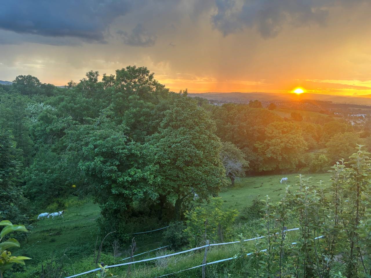 Mooi hippisch vastgoed Koop Rhône