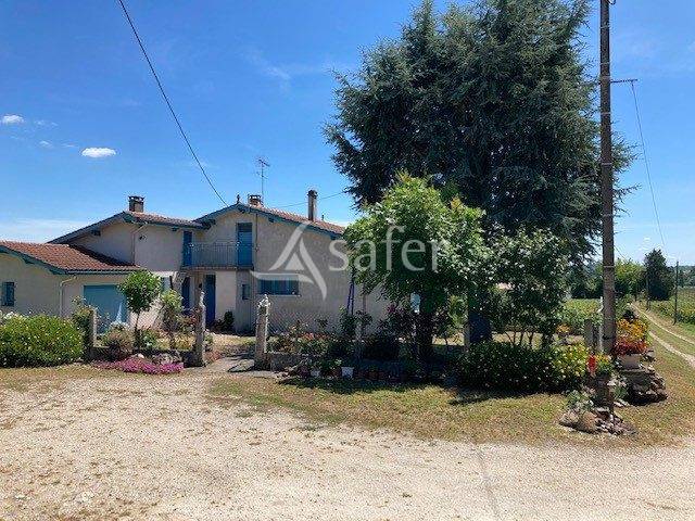 Groente exploitatie Koop Lot-et-Garonne