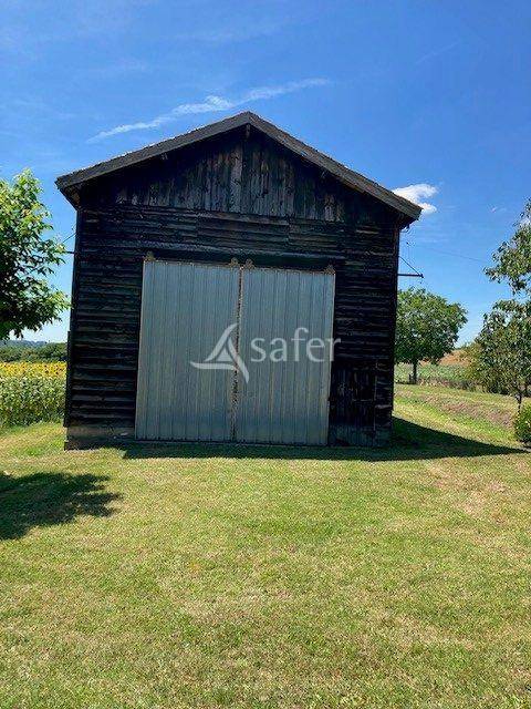 Groente exploitatie Koop Lot-et-Garonne