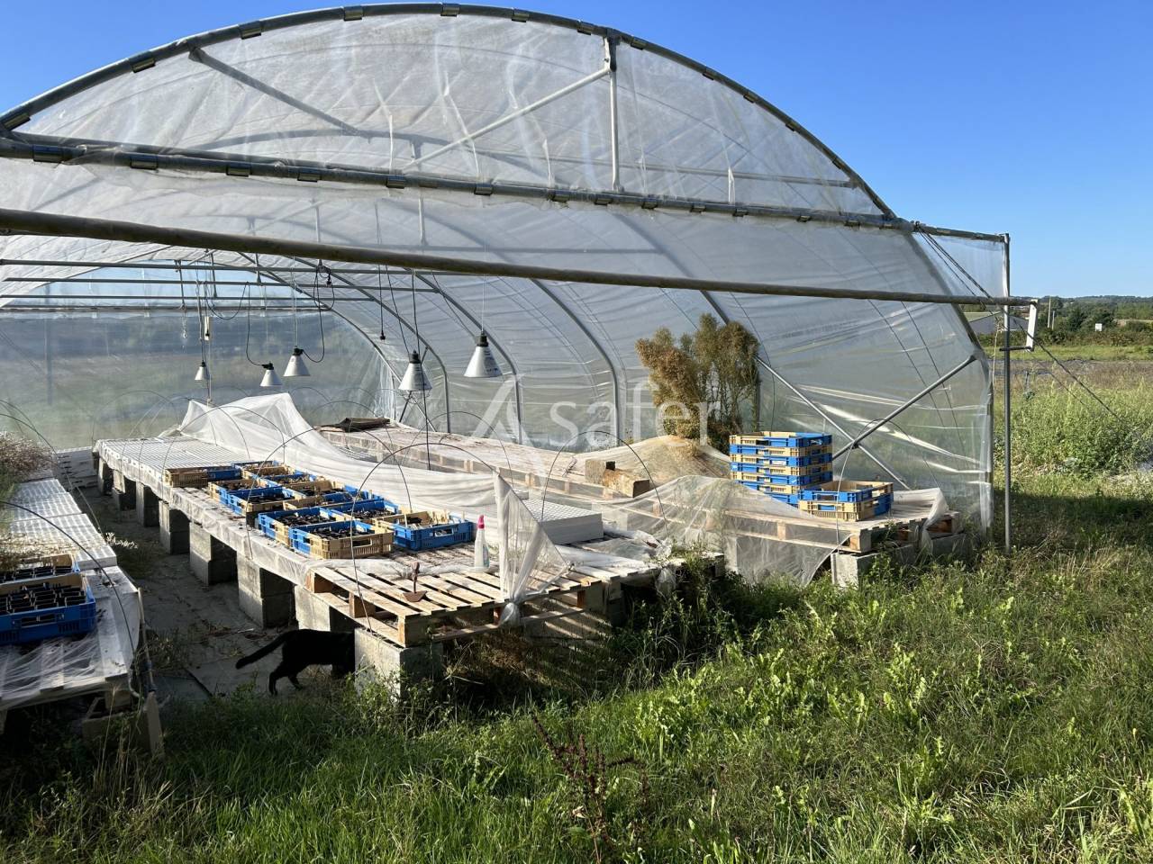 Groente exploitatie Koop Lot-et-Garonne