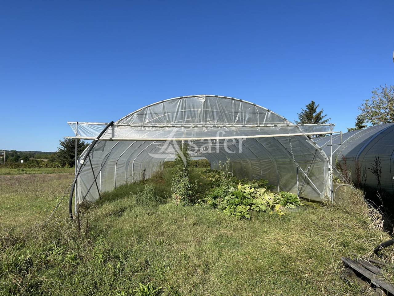 Groente exploitatie Koop Lot-et-Garonne