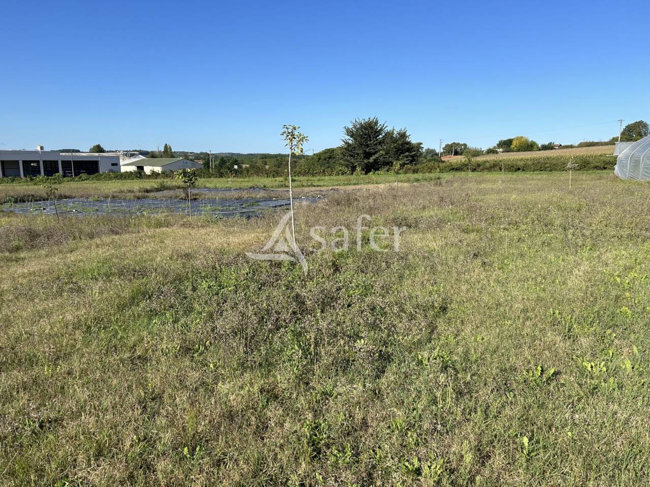 Groente exploitatie Koop Lot-et-Garonne