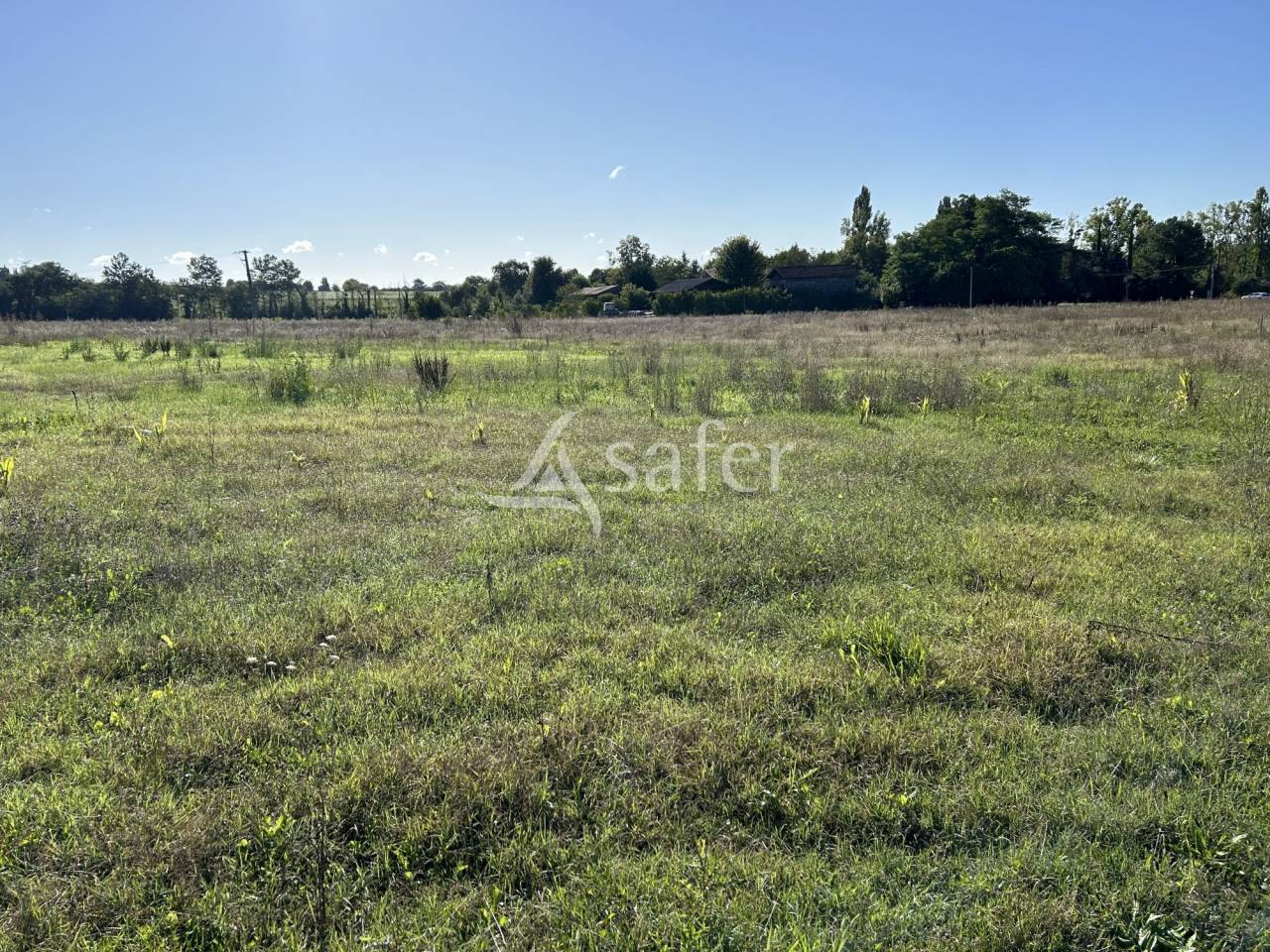 Groente exploitatie Koop Lot-et-Garonne