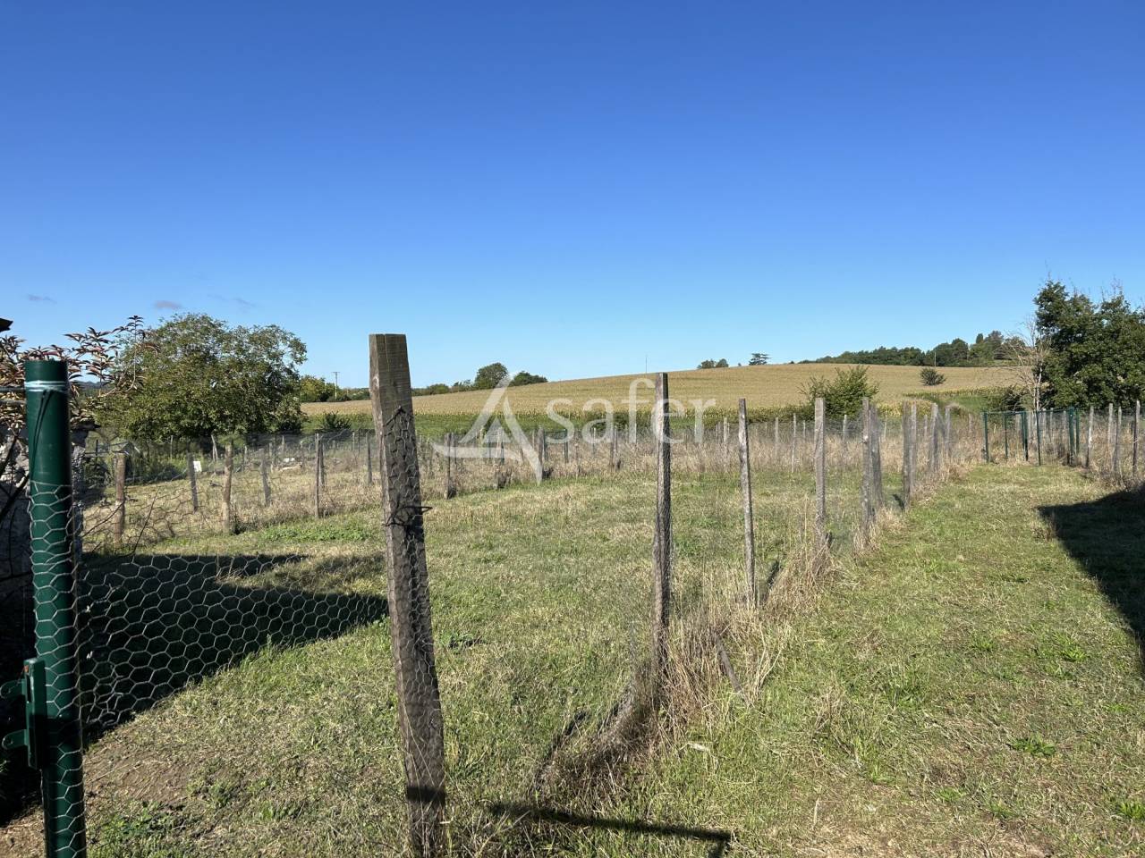 Groente exploitatie Koop Lot-et-Garonne