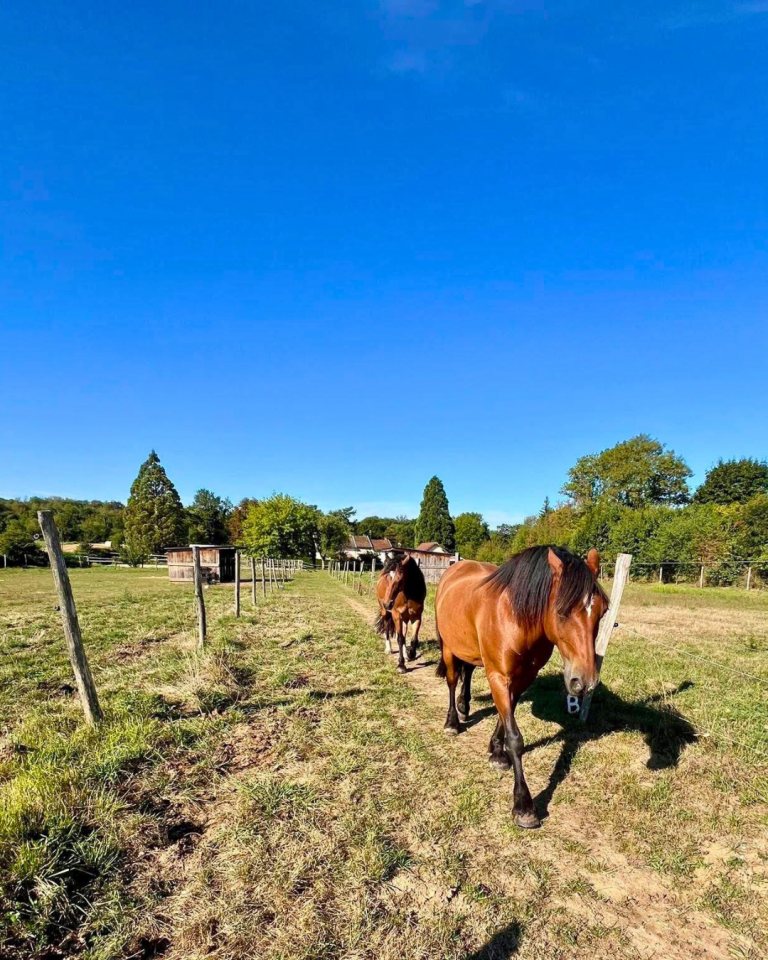 Hippisch vastgoed Koop Isère