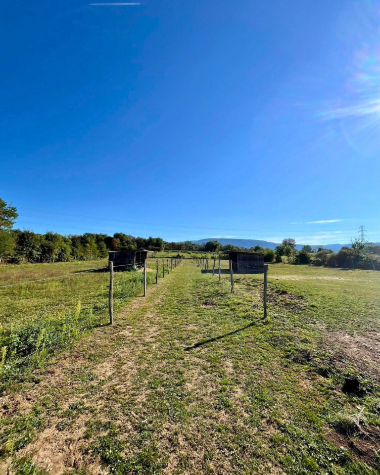 Hippisch vastgoed Koop Isère