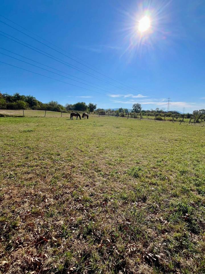 Hippisch vastgoed Koop Isère