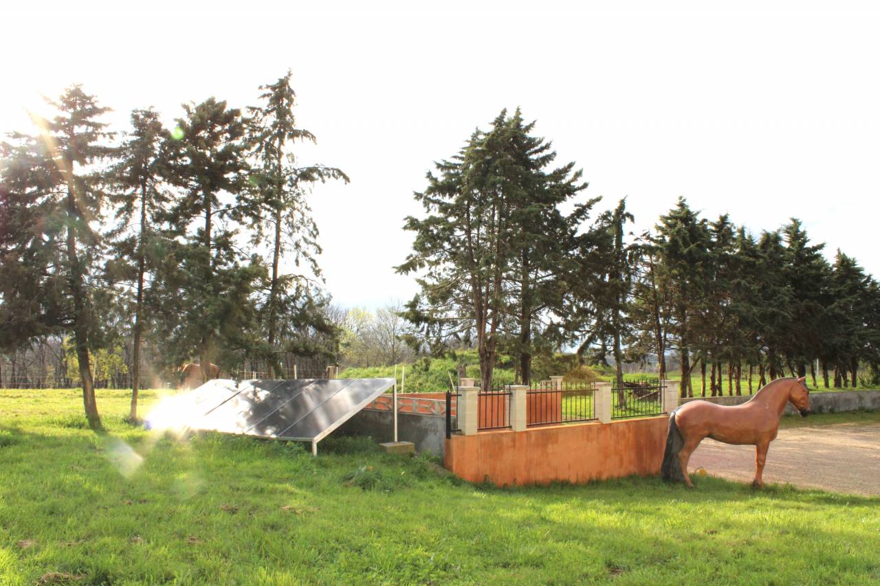 Hippisch vastgoed Koop Tarn-et-Garonne