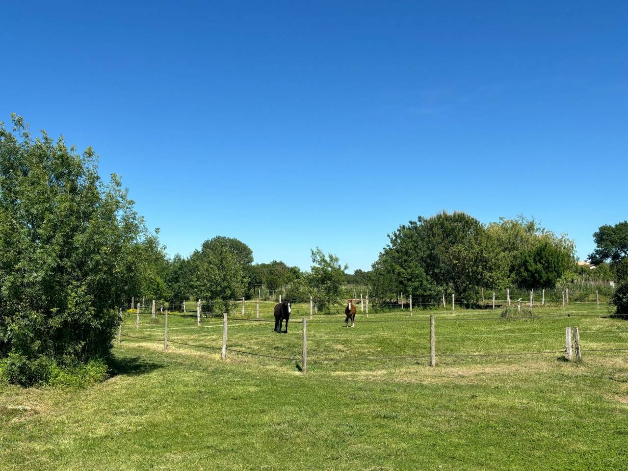 Hippisch vastgoed Koop Hérault