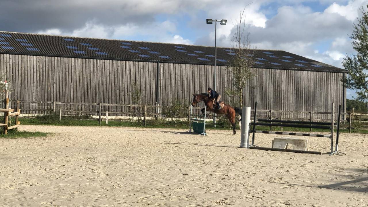 Eigenaren stal Koop Eure-et-Loir