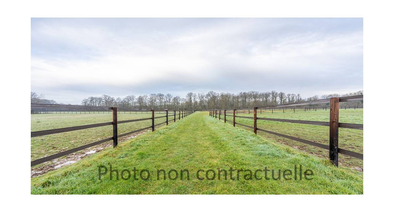 Mooi hippisch vastgoed Koop Ain