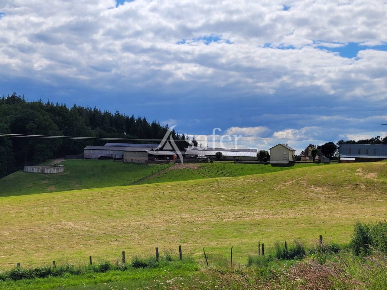 Melk exploitatie Koop Cantal