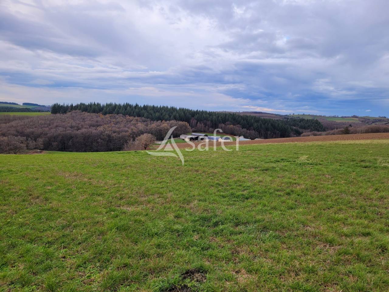 Melk exploitatie Koop Cantal