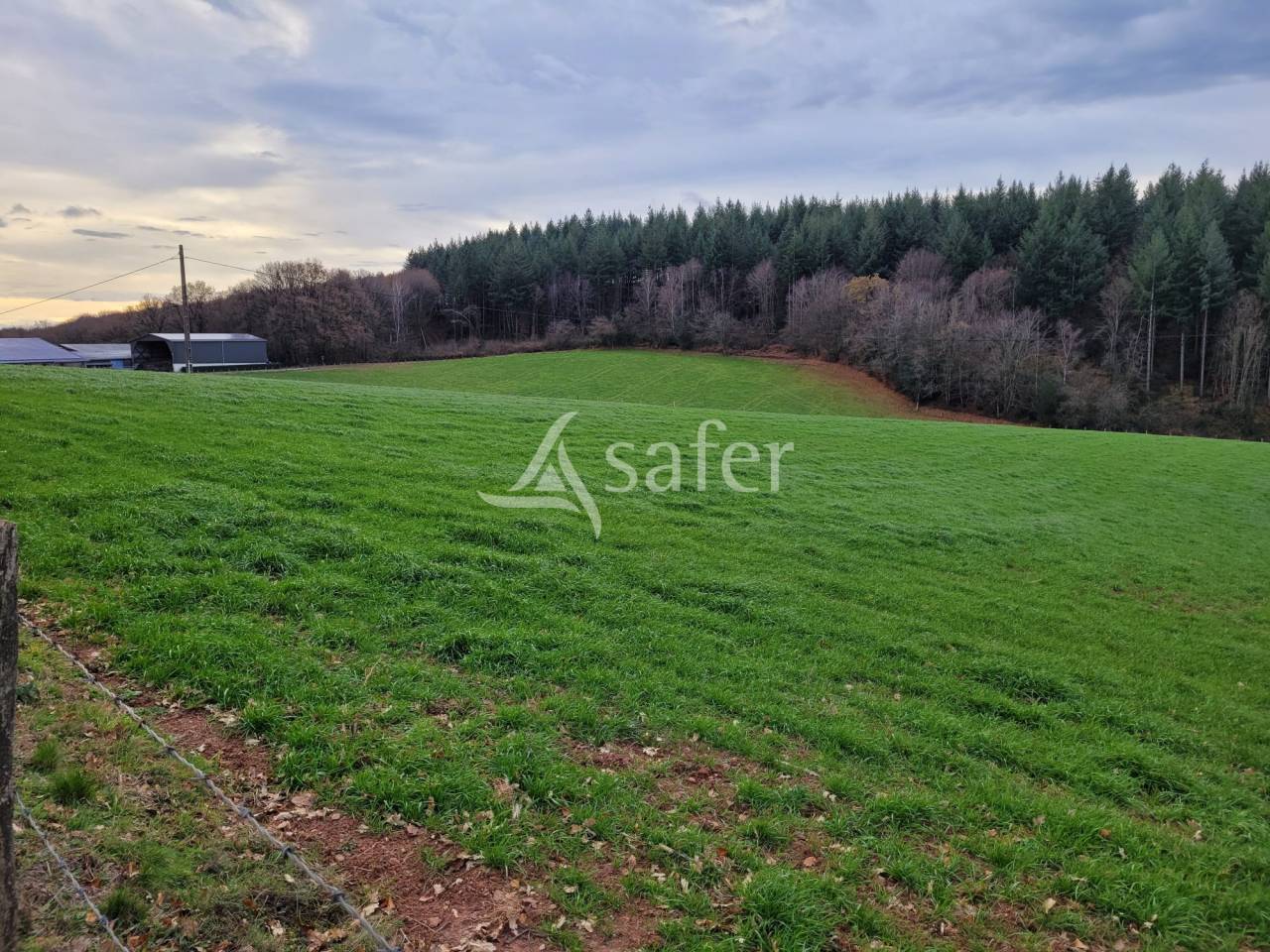 Melk exploitatie Koop Cantal