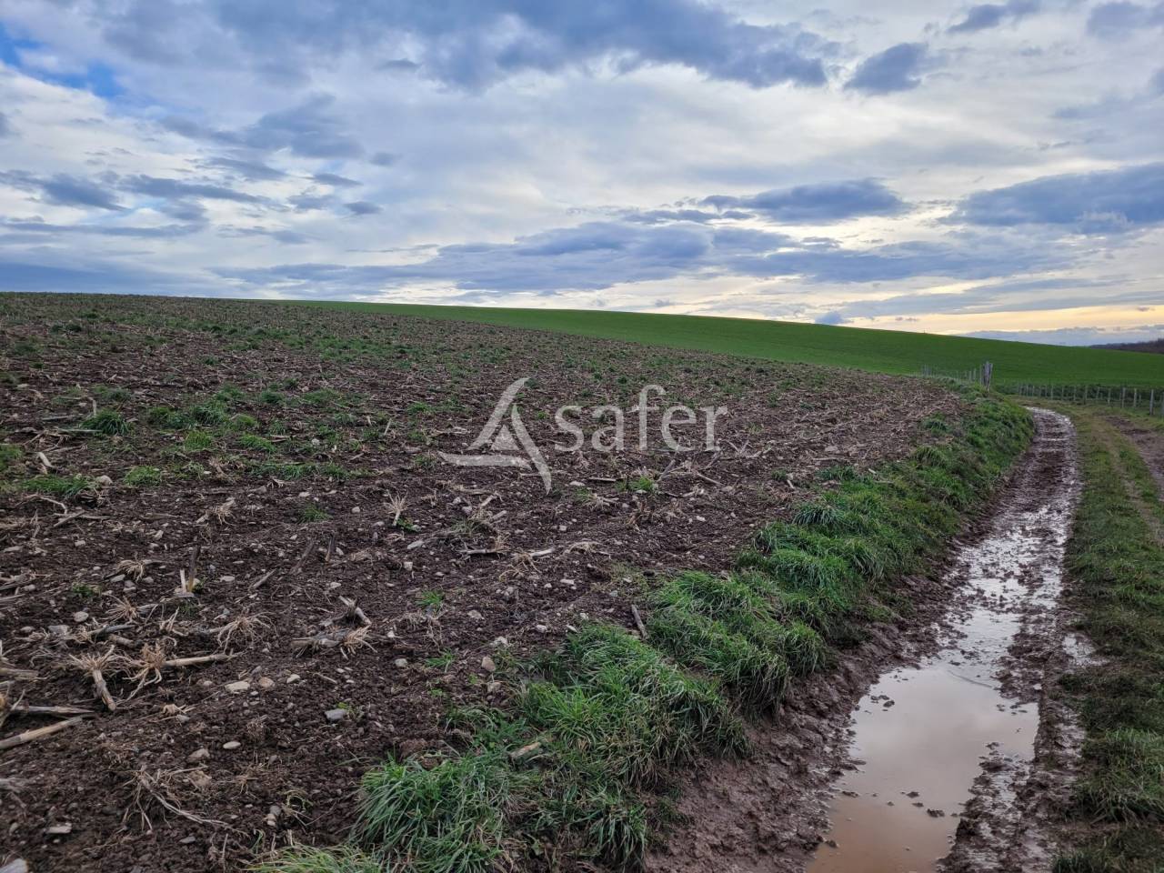 Melk exploitatie Koop Cantal