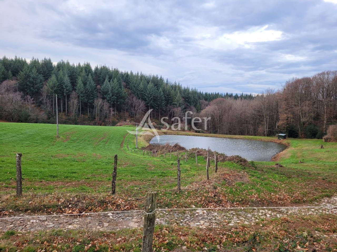 Melk exploitatie Koop Cantal