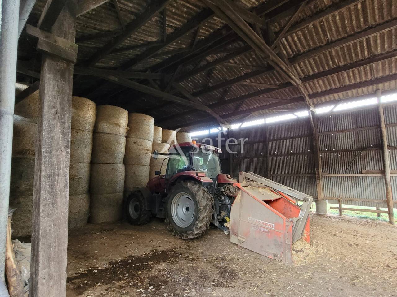 Melk exploitatie Koop Cantal