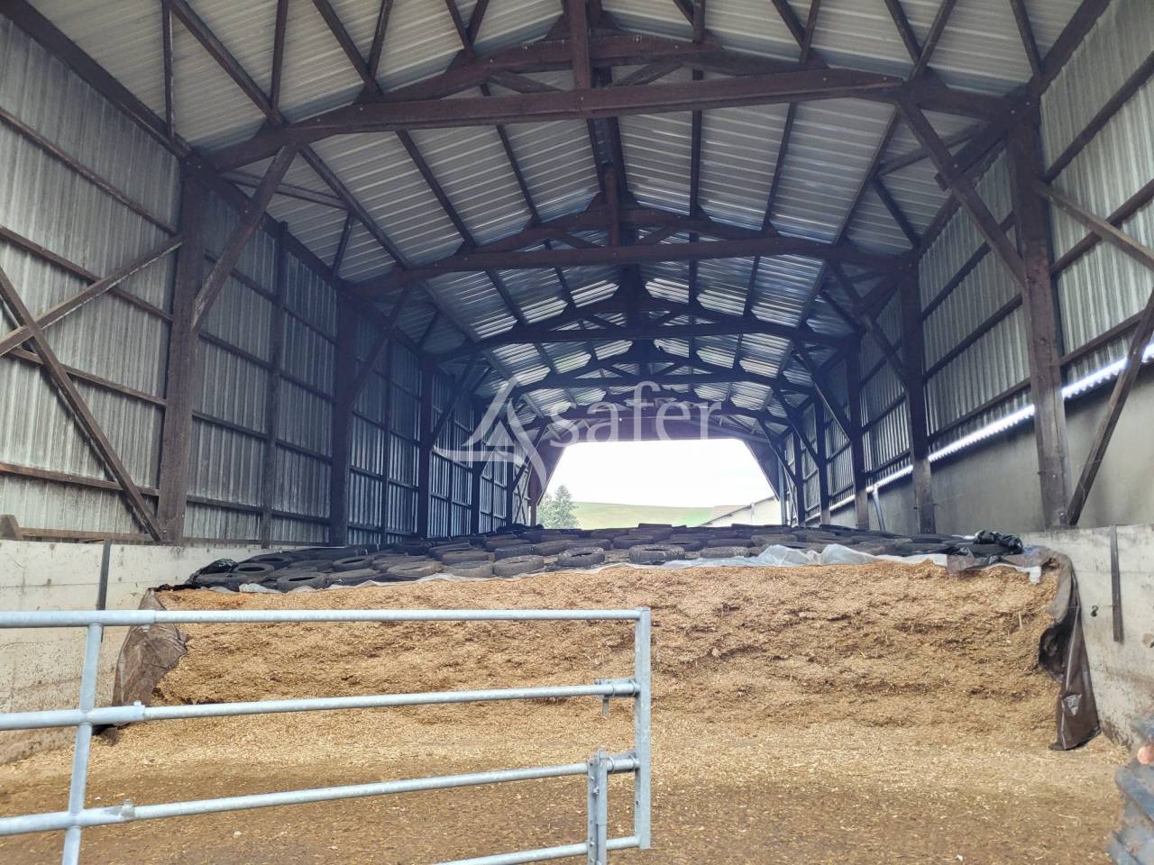 Melk exploitatie Koop Cantal