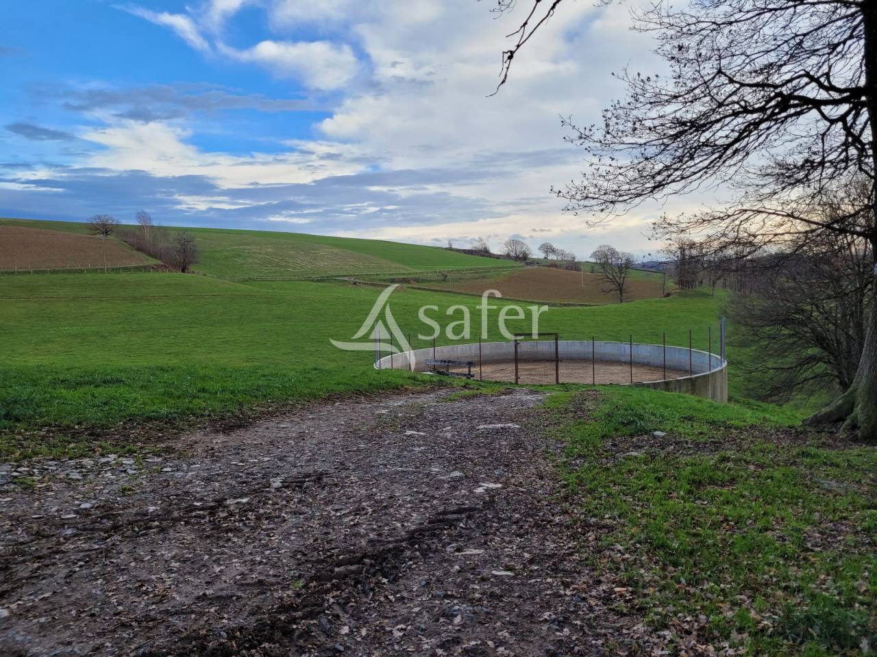 Melk exploitatie Koop Cantal