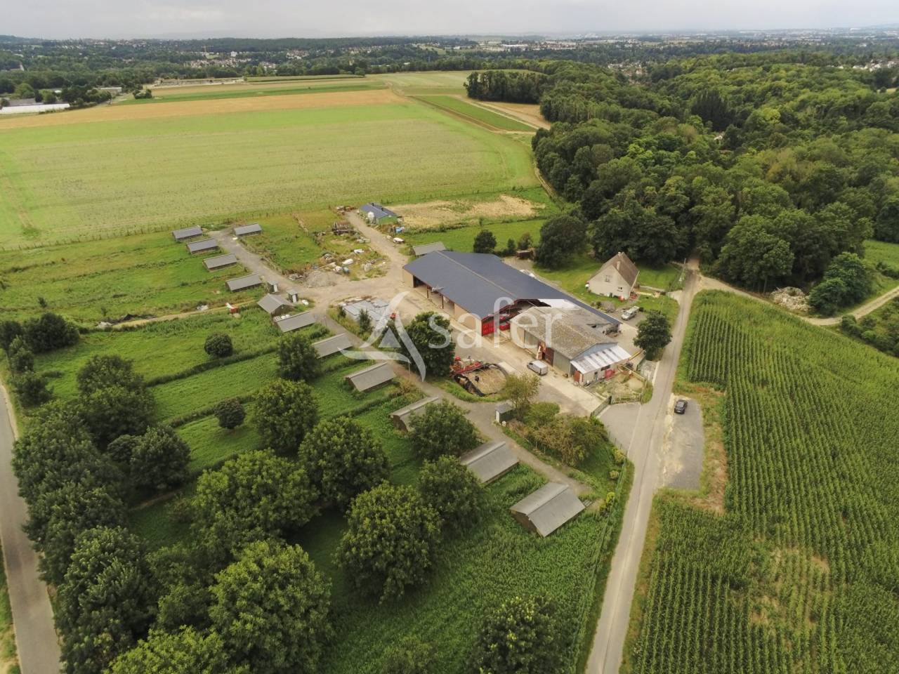 Kippen exploitatie Koop Val-d'Oise