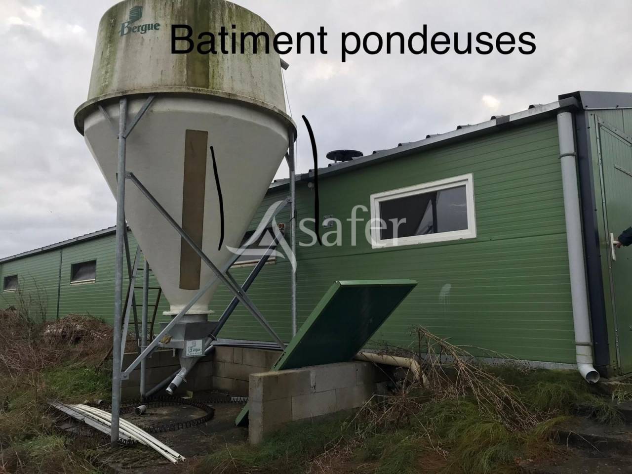 Kippen exploitatie Koop Val-d'Oise