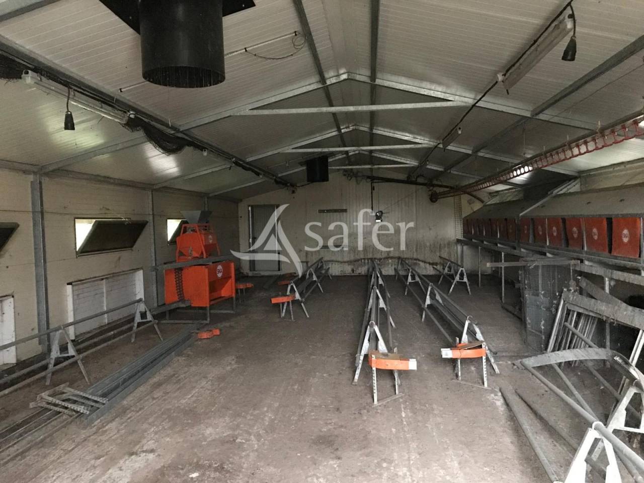 Kippen exploitatie Koop Val-d'Oise