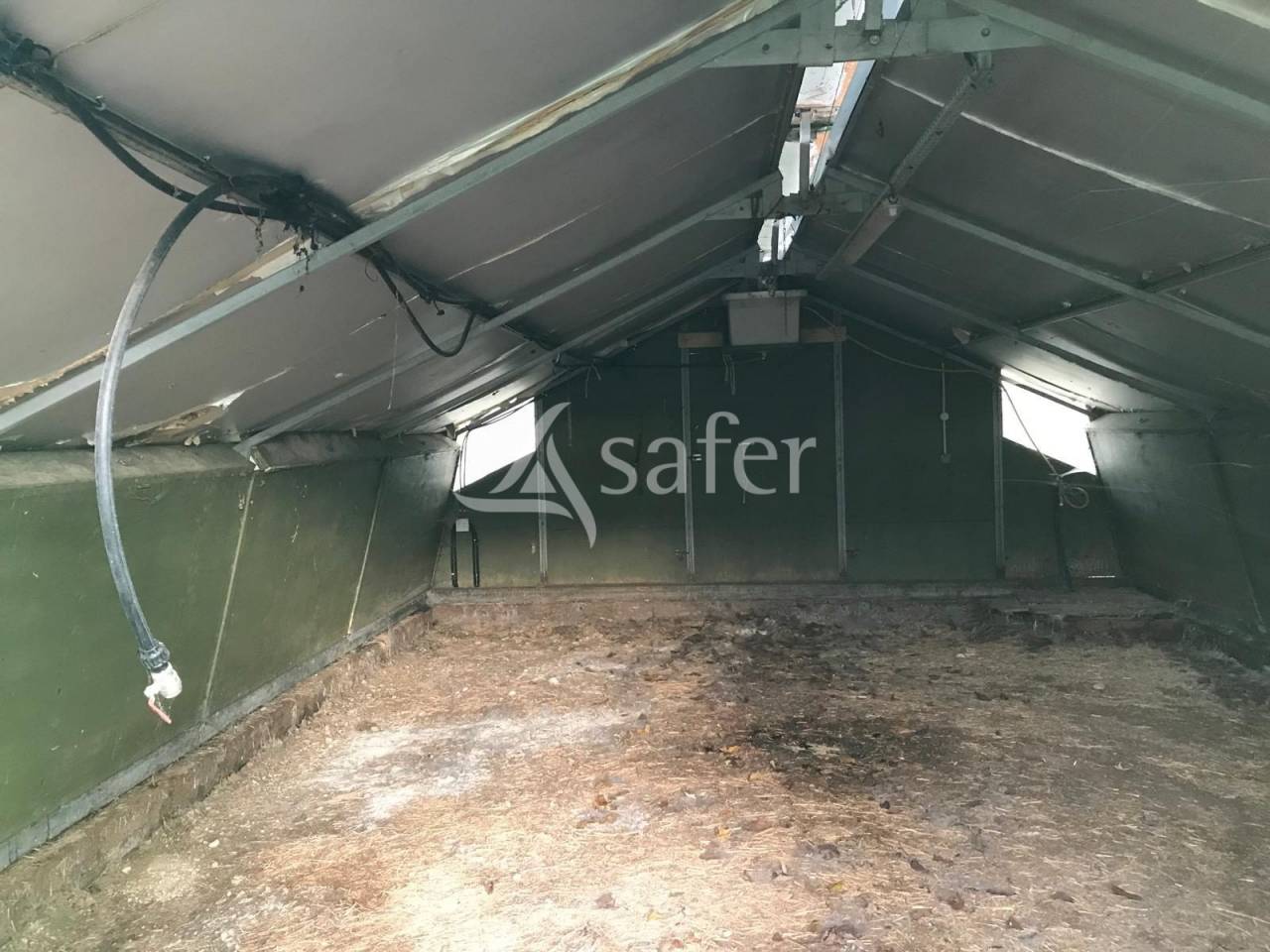 Kippen exploitatie Koop Val-d'Oise