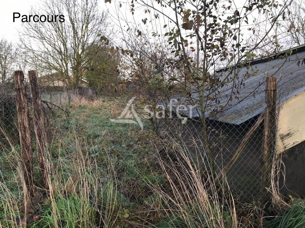 Kippen exploitatie Koop Val-d'Oise