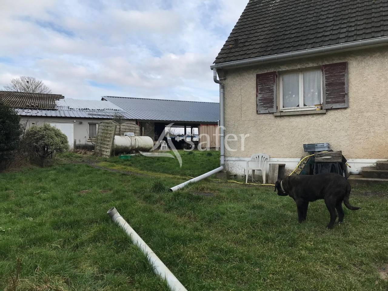 Kippen exploitatie Koop Val-d'Oise