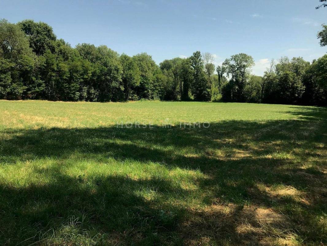 Hippisch vastgoed Koop Seine-et-Marne