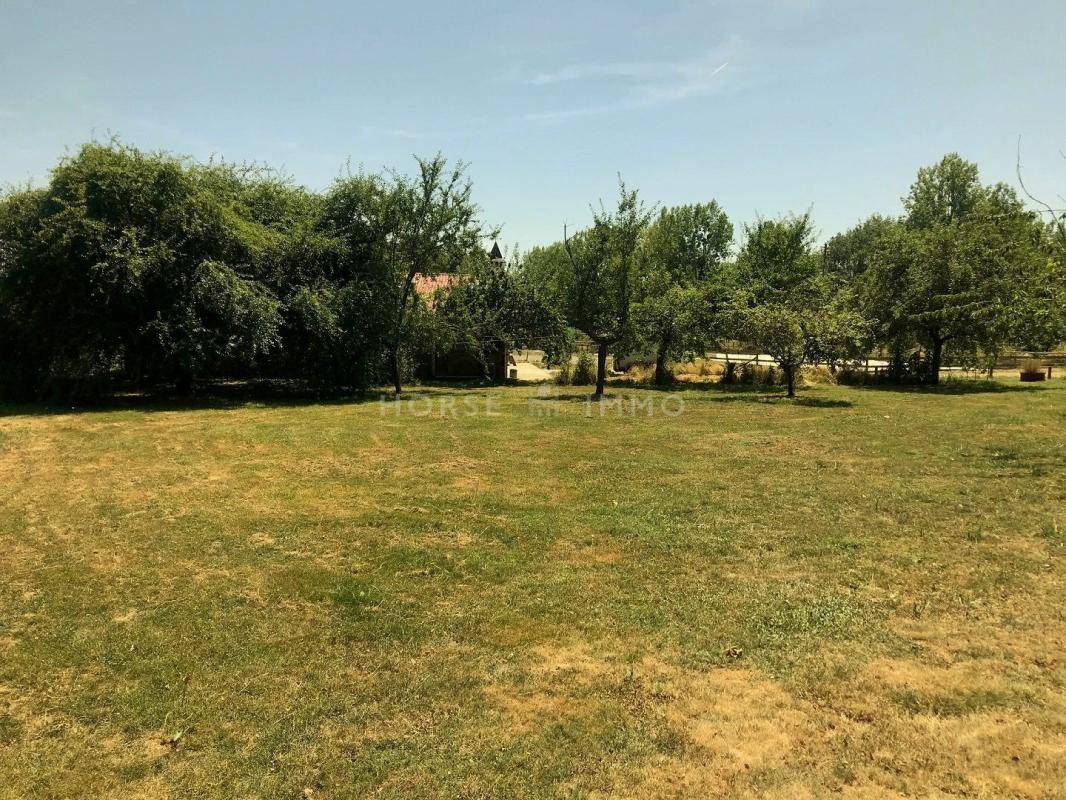 Hippisch vastgoed Koop Seine-et-Marne