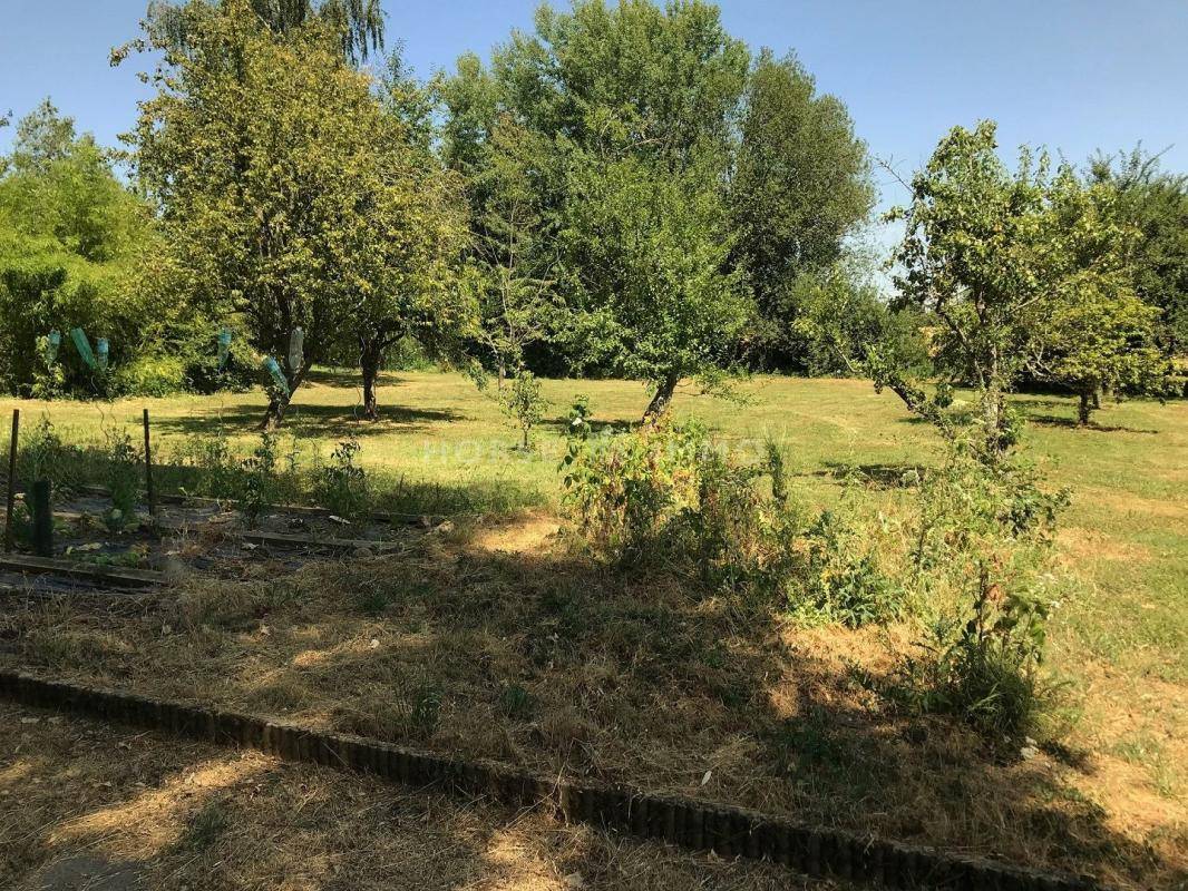 Hippisch vastgoed Koop Seine-et-Marne