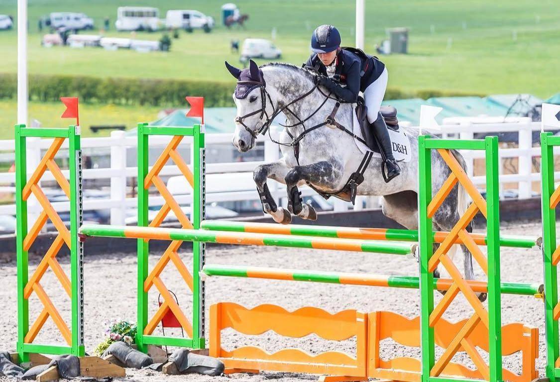 Merrie Selle Français Te koop 2015 Schimmel