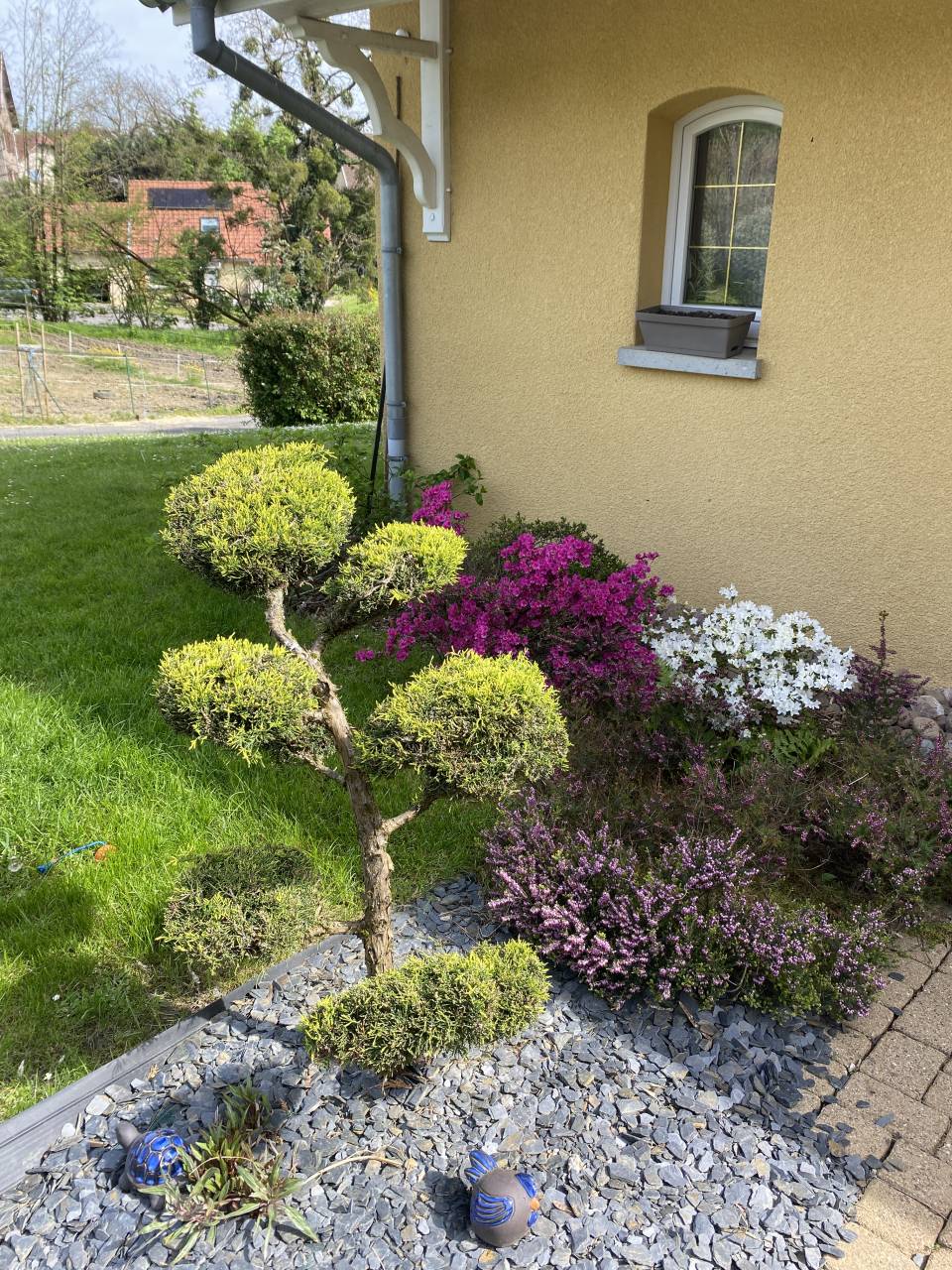 Mooi hippisch vastgoed Koop Haute-Saône