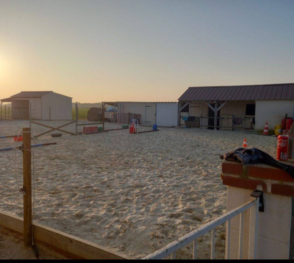 Hippisch vastgoed Koop Loir-et-Cher