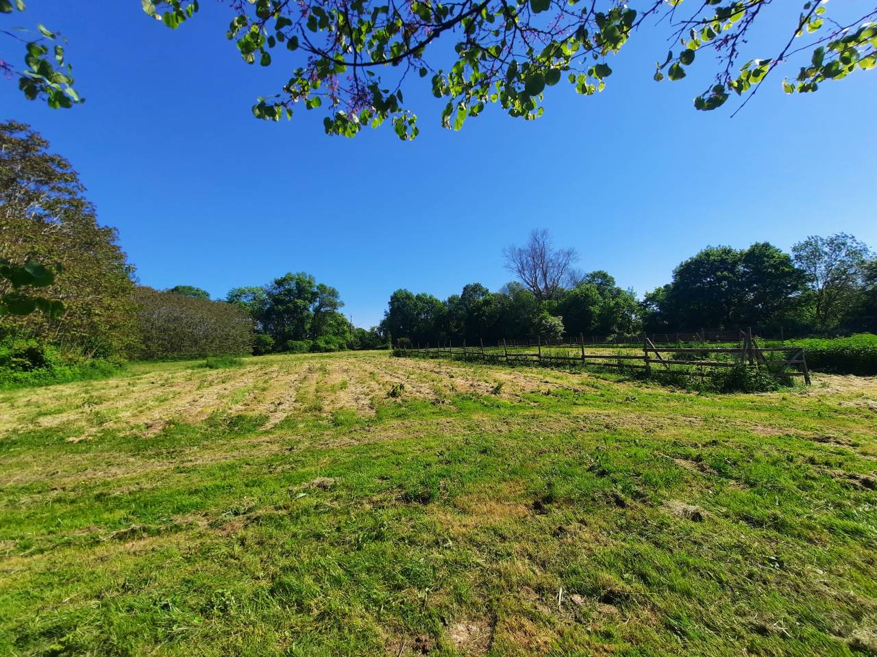 Mooi hippisch vastgoed Koop Charente-Maritime