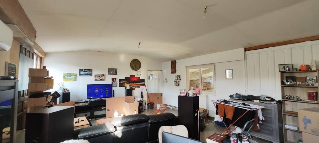 Stoeterij Koop Côte d'Or