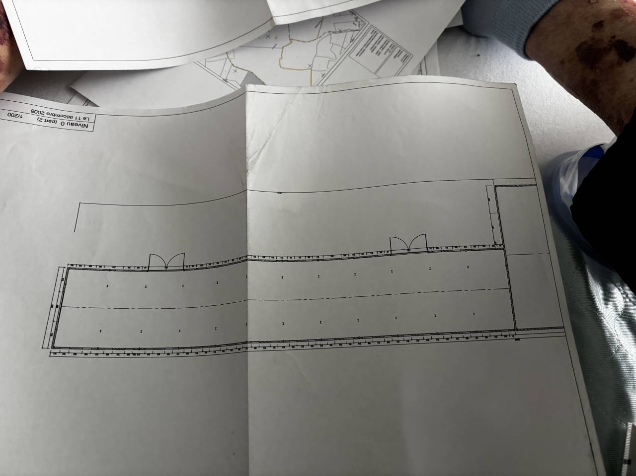 Stoeterij Koop Côte d'Or